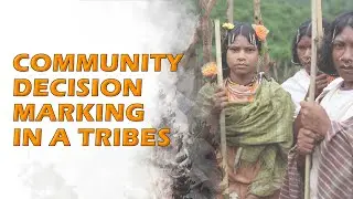 Community Decision Marking in a Tribes