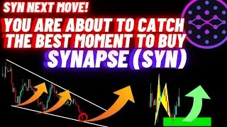 You Are About To Catch The Best Moment To Buy Synapse (SYN)