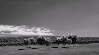 Spheria - Otj&aacute;nbird Pt. V ~ 20 Minutes extended