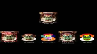 Framework to Computationally Analyze Kathakali Videos - 1