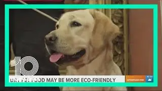 Dry pet food may be more eco-friendly compared to wet, study shows