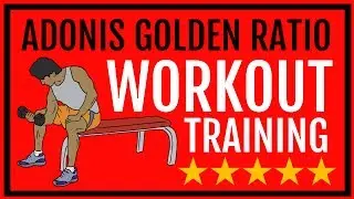 Adonis Golden Ratio Workout PDF | Adonis Golden Ratio Workout Program PDF