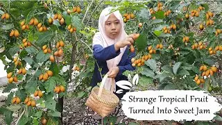 Turning a Strange Tropical Fruit into Sweet Jam | Life in the Village