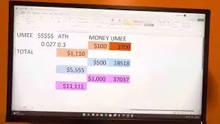 UMEE CRYPTO COIN PROFIT MATH