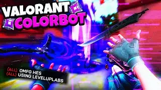 VALORANT COLORBOT (leveluplabs.xyz) - undetected / safe 2026