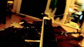 trex700g gopro lapasessa