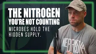 Understanding Nitrogen Mineralization and Protein in Your Soil