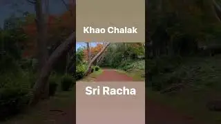 Khao Chalak #sriracha #trailrunning #nature #thailand #running #libangan #libangantv