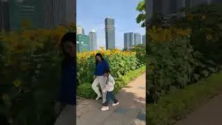 Dạo quanh vườn hoa hướng dương bên bờ sông Sài Gòn bên phía Thủ Thiêm. 