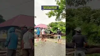 gotong royong to remove fallen trees in the middle of the road #shorts