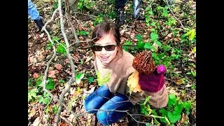 2017 Ohio Morel Foray
