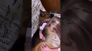 Часть 3. Что с лапой?
