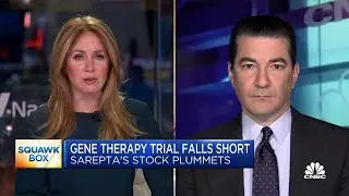 Former FDA commissioner Dr. Scott Gottlieb on the future of gene therapy