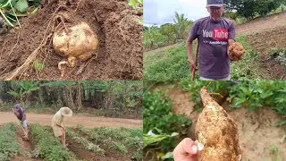 ESSA É A RAINHA DA PRAIA MAS TENHA CONVIDOU PATRÍCIA PARA UM ALMOÇO NA CASA QUE FOI DOS PAIS DELA