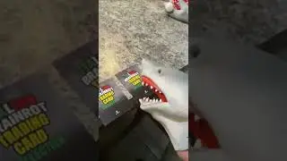 Shark Puppet Instagram Story: Italian Brainrot Card unboxing