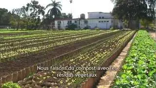 Révolution verte urbaine 1/3