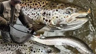 Best hour of fishing in my life! 4 Atlantic salmon on a spoon with outstanding fights! #connecticut 