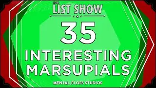 35 Adorable & Fascinating Marsupial Facts | Mental Floss