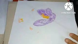 Flower (Saffron Crocus) || Colored Sketch || Timelapse
