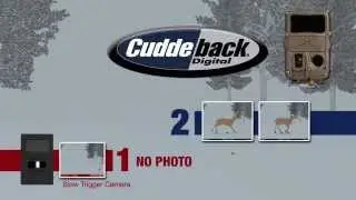 Cuddeback Trigger Speed Challenge