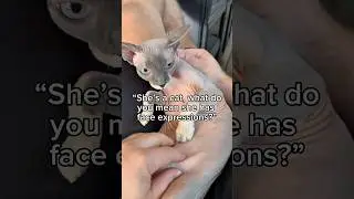 Cats Have Face Expressions&hellip;See!!🫢 #cat #funny #shorts #cute