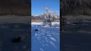 ￼ Wundersch&ouml;ne Winterlandschaft in Lavant