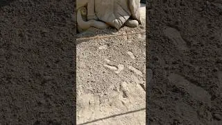 fairytale sand art💕#short #creative #cool #nature