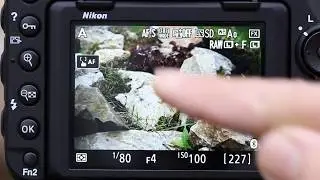 Nikon D850 LiveView AF