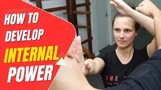 How to develop Internal Power in Wing Chun 💥