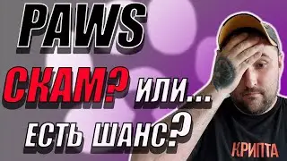 PAWS LISTING❗RESULTS, REASONS AND WHAT'S NEXT❗IS THERE A CHANCE FOR GROWTH❓ #paws #павс