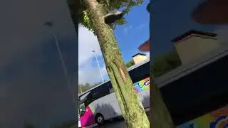 Letzten 40 min pilgern