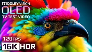 OLED TEST | Insane Earth 🌏 Best of Dolby Vision 16K HDR 120 fps (4K/8K TV)