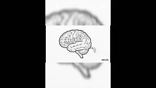 The Mind&rsquo;s Apothecary: The Science of Internal Healing