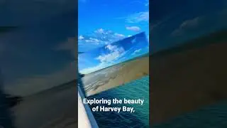 Exploring the beauty of Harvey Bay.     Full episodes is out