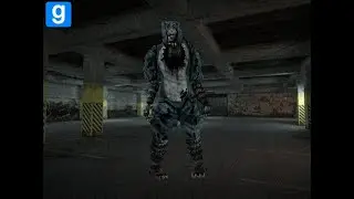 GMOD IS INSANITY. || GMOD with friends