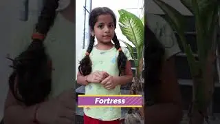 Learn a New English Word Every Day - Fortress #shorts #youtubeshorts #ytshorts #shortsfeed #english
