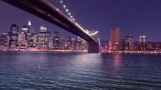 THE AMERICAN RELICS--New York Lover