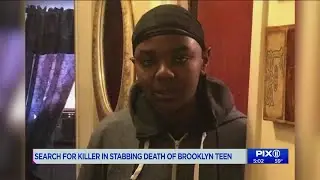 Search continues for suspects in stabbing death of Brooklyn teen