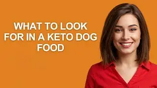 What to Look for In a Keto Dog Food - AshleyHowTo