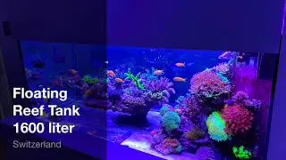 The Floating Reef Tank 1600 litres