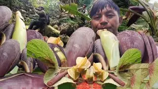 Eating banana flower with chilli powder | the best jungle vlog 