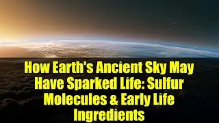How Earth's Ancient Sky May Have Sparked Life: Sulfur Molecules & Early Life Ingredients