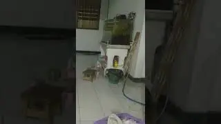 monitoring the condition of the house at one o clock at night (watch out!!!!!!!)