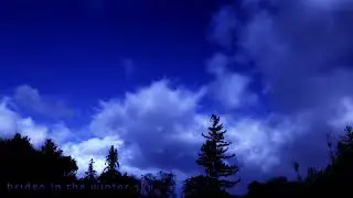 Rainbow bridge across the winter sky