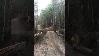 Rogate downhill#dmr #bike #mountainbike #trail #gopro