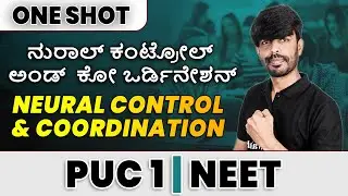 NEURAL CONTROL AND COORDINATION  in 1 Shot - All Theories & PYQs Covered | PUC 1 | NEET