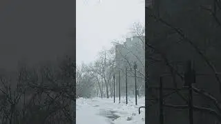 Loring Park Minneapolis: Snow Day 4K (march 26, 2024) #snow #minneapolis #winter
