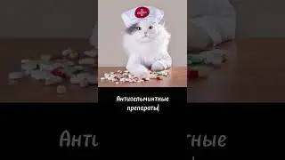 Ветаптечка для вашего питомца #ветклиника #кошки #собаки #питомцы #ветеринар