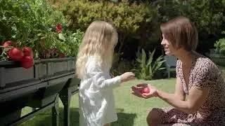Vegepod Self-Watering Small Container Garden with Stand & Cover on QVC