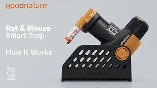 Goodnature A24 Smart Trap - How It Works